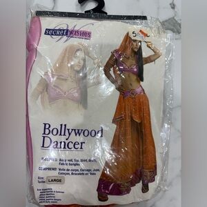 Bollywood Dancer Costume